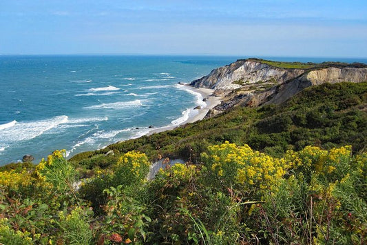 🏞️ Advanced Martha’s Vineyard Ride – Spaulding Adaptive Sports Centers