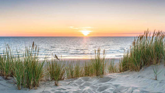 Why Martha’s Vineyard Is the Ideal Getaway for Seniors