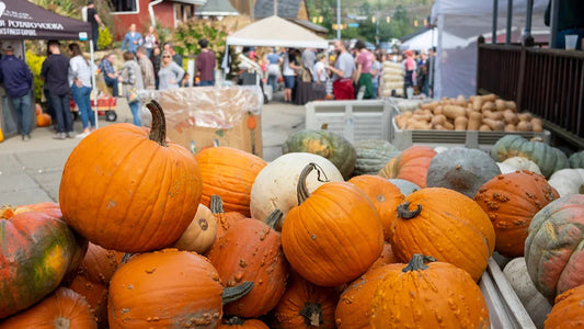 Magic of Fall at the Pumpkin Festival at Morning Glory Farm