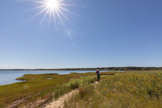 Discover Felix Neck Wildlife Sanctuary