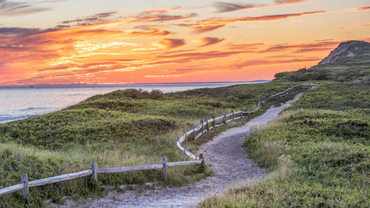 The Ultimate E-Bike Day Trip on Martha’s Vineyard: Scenic Routes, Hidden Gems & Local Tips