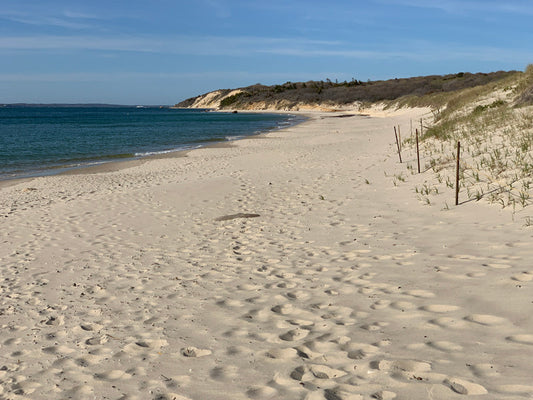 Island Time How Martha’s Vineyard Slows You Down