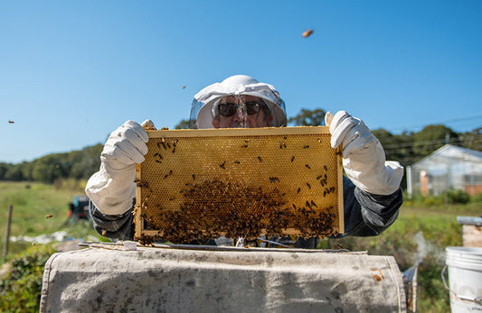 Ginny Bee Honey Farms