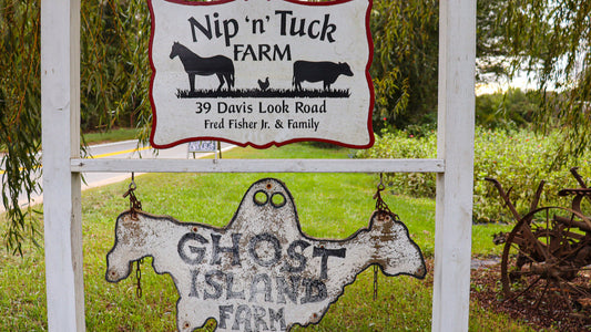 Harvest Festivals on Martha’s Vineyard