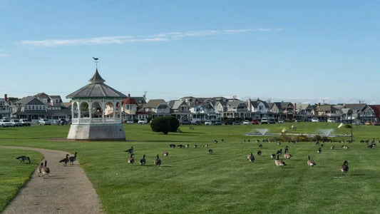 Best Kid-Friendly Places to Have Fun in Martha’s Vineyard