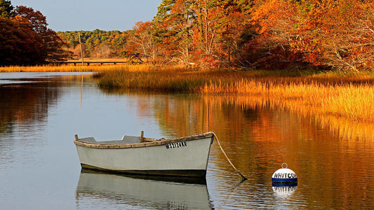 The Best Fall Hikes & Bike Rides on Martha’s Vineyard