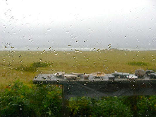 Rainy Day on the Vineyard? 10 Cozy Things to Do with Kids Indoors
