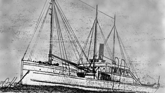 The Bloody Mystery of the John Dwight