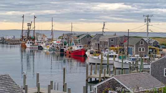 The Best Spots to Catch Lobster in Martha’s Vineyard & Its Rich Fishing History