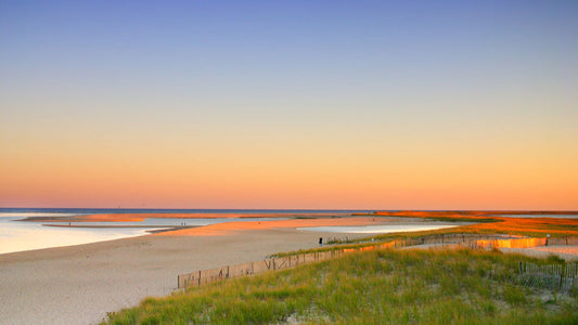 Discover Joseph Sylvia State Beach: A Martha’s Vineyard Coastal Treasure