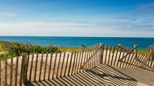 Why I Keep Coming Back: A Love Letter to Martha’s Vineyard Summers