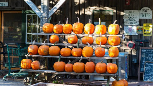 Ghosts, Goblins & Gourds at the Farm Institute