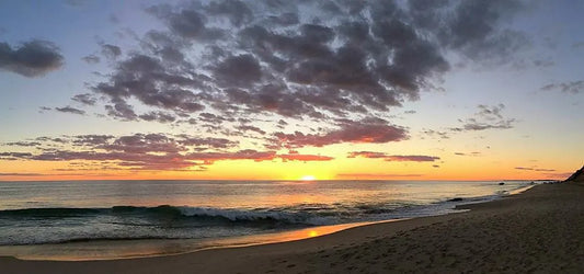 Iconic New England Charm: Why Martha’s Vineyard Feels Like Stepping Into a Storybook