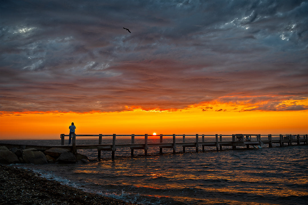 Why the Beach and Biking in Martha’s Vineyard Are Good for Your Mental Health