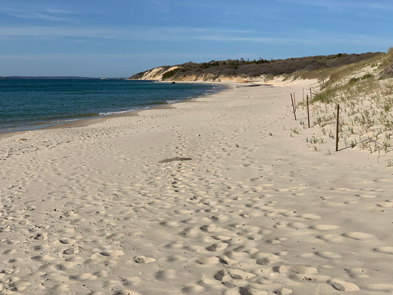 Island Time How Martha’s Vineyard Slows You Down