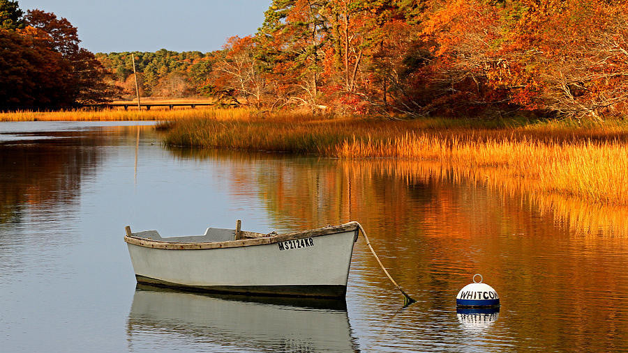 The Best Fall Hikes & Bike Rides on Martha’s Vineyard