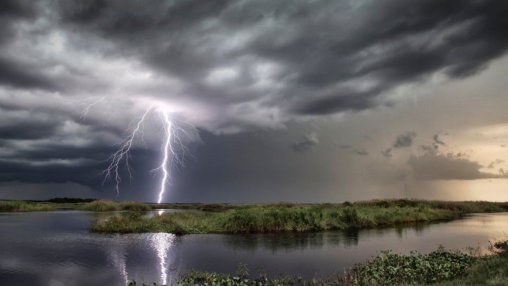 The Strangest Laws & Urban Legends of Martha’s Vineyard