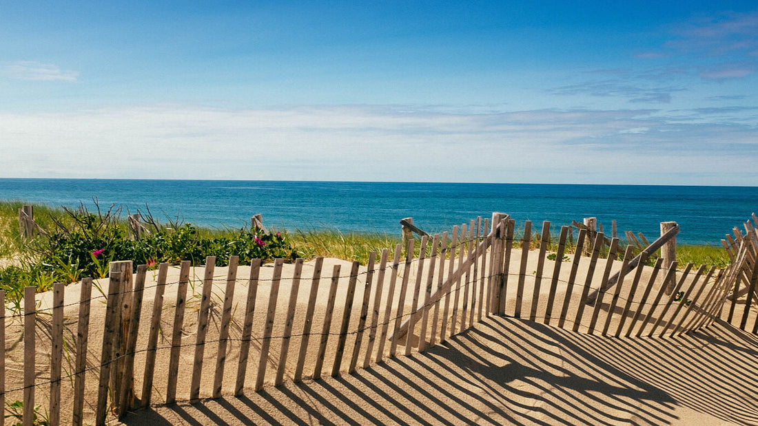 Why I Keep Coming Back: A Love Letter to Martha’s Vineyard Summers